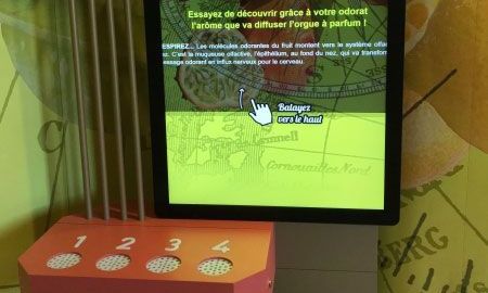 NOUVEAUTE : L'ORGUE AUX AROMES