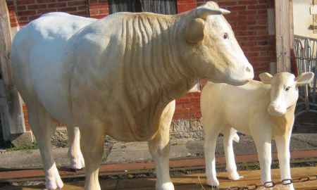 Ambassadeurs du Musée de l'Elevage et du Charolais