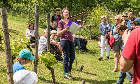 Balade entre mots et musique - Journées Européennes du patrimoine 2021