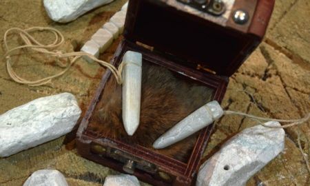 Musée de l'Ours des Cavernes, Entremont-le-Vieux