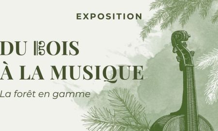 Du bois à la musique, la forêt en gamme.