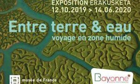 Entre terre et eau, voyage en zone humide