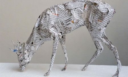 Zoothèque enchantée - Claudio Locatelli