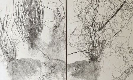 Le temps de l’arbre