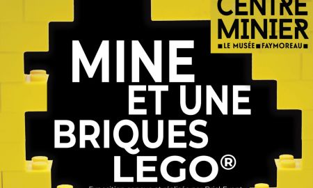 MINE ET UNE BRIQUES LEGO®