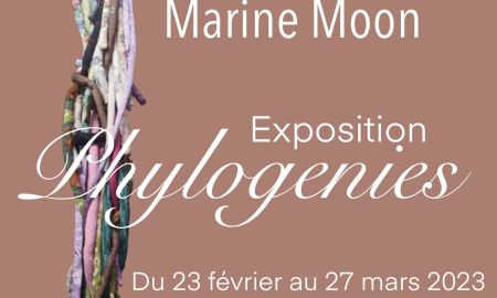 PHYLOGÉNIES
