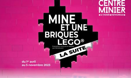 MINE ET UNE BRIQUES LEGO® La suite