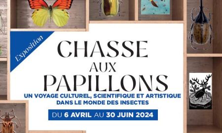 Expositions Château-Musée de Gien, Gien