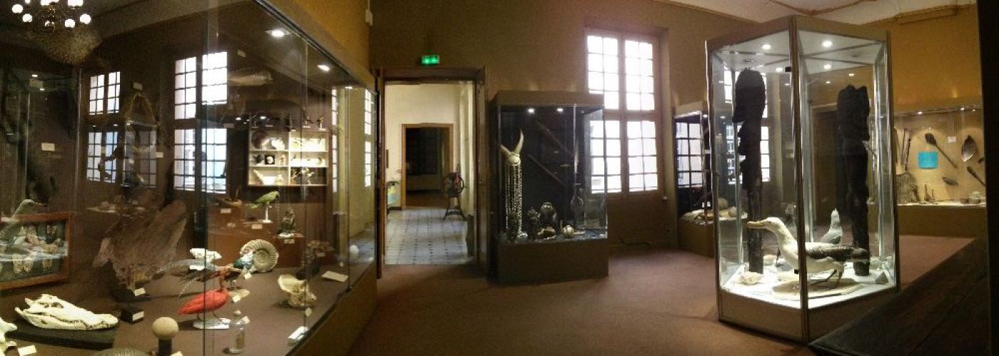 Muséum d'Histoire Naturelle  (Image 8)>