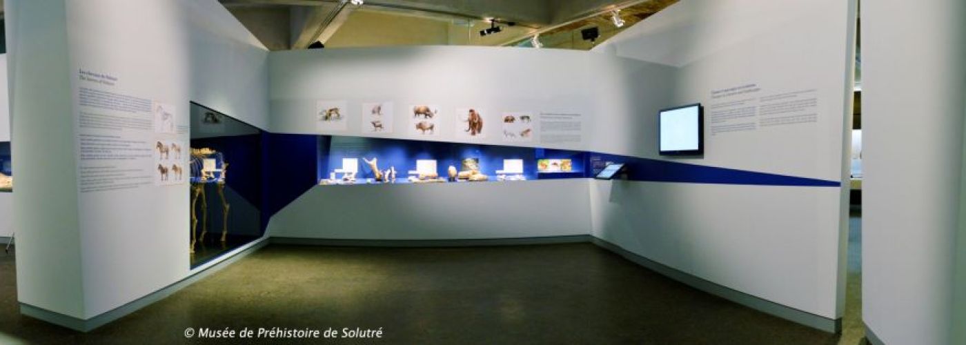 Solutré, Musée Départemental de Préhistoire  (Image 1)>