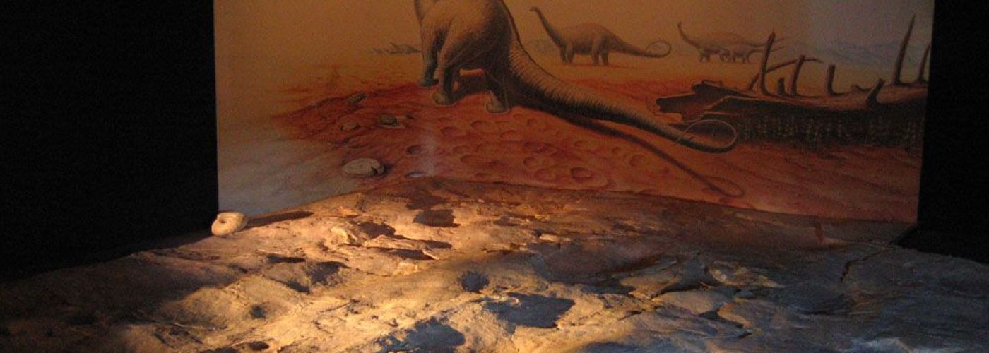 Ichnospace, Empreintes et Traces de Dinosaures  (Image 1)>