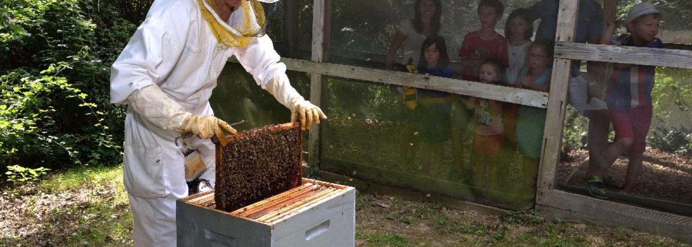 La Folie de Finfarine, Maison de l'Abeille et du Miel  (Image 1)>