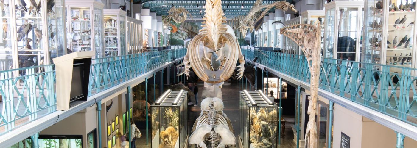 Musée d'Histoire Naturelle  (Image 1)>