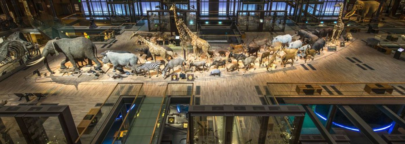 Muséum National d'Histoire Naturelle - Grande Galerie de l'Évolution  (Image 1)>