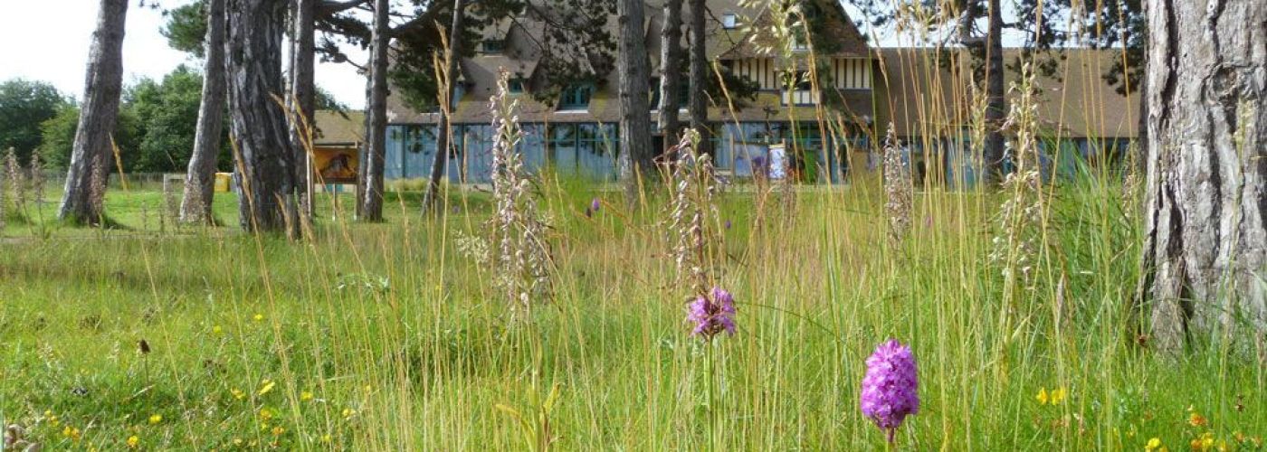 Maison de la Nature et de l'Estuaire  (Image 1)>