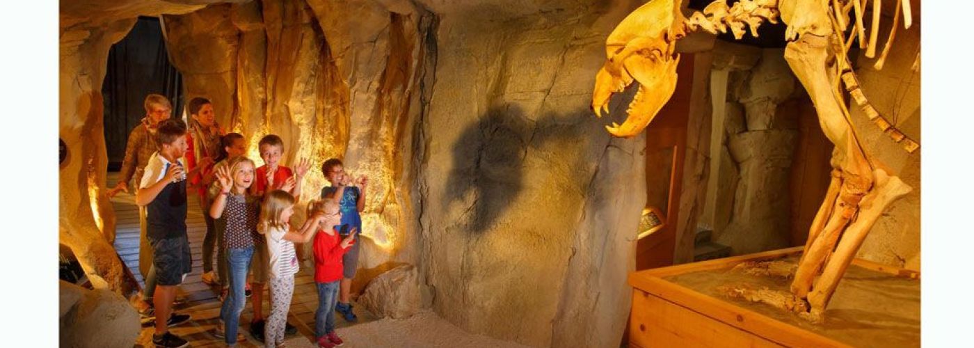 Musée de l'Ours des Cavernes  (Image 2)>