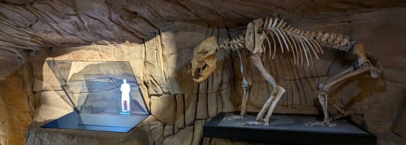 Musée de l'Ours des Cavernes  (Image 2)>