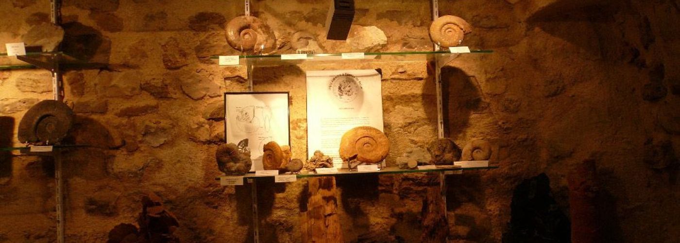 Musée Minéralogique et Paléontologique Pierre Delquié  (Image 1)>