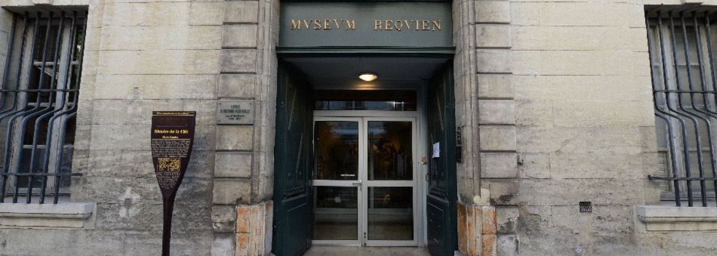 Musée Requien  (Image 1)>