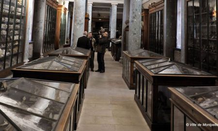 Musée d'Anatomie, Montpellier