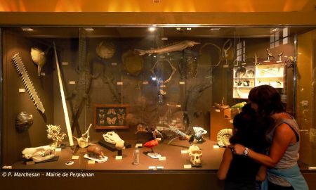 Muséum d'Histoire Naturelle, Perpignan