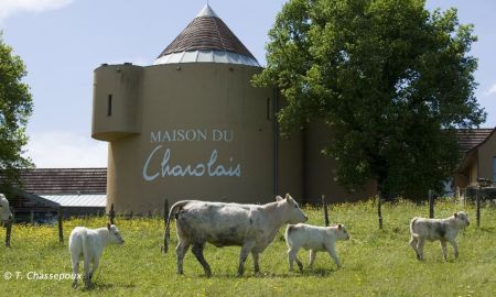 Maison du Charolais, Charolles