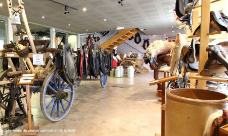 Musée-Relais du Cheval Comtois et de la Forêt, Levier