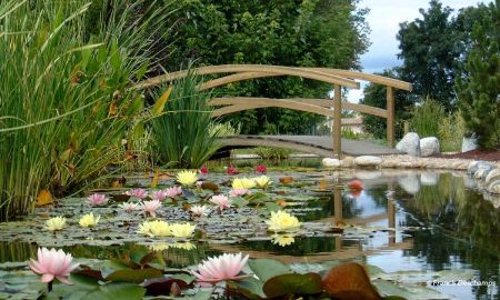 Musée Vivant de la Plante Aquatique, Saint-Didier-sur-Chalaronne