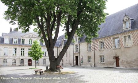 Musée d'Art moderne, Troyes