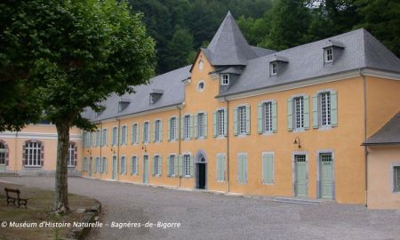 Muséum d'Histoire Naturelle, Bagnères-de-Bigorre