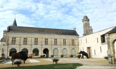 Musée de la Préhistoire, Le Grand-Pressigny