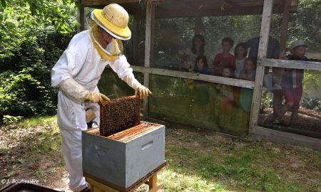 La Folie de Finfarine, Maison de l'Abeille et du Miel, Poiroux