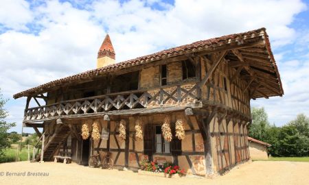 Ferme-Musée de la Forêt, Courtes