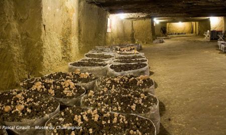 Musée du Champignon, Saint-Hilaire-Saint-Florent