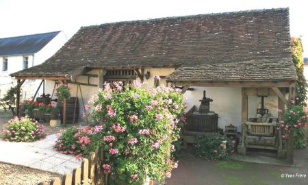 Musée de la Vigne, Lhomme