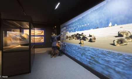 Maison de la Baie de Somme, Lanchéres