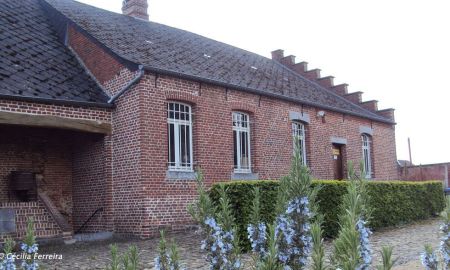 Musée des Évolutions, Bousies