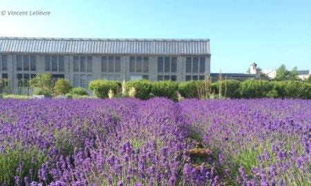 Cité Nature, Arras