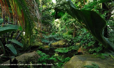 Muséum National d'Histoire Naturelle - Grandes Serres du Jardin des Plantes, Paris