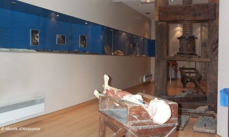 Musée de l'Écorché d'Anatomie, Le Neubourg