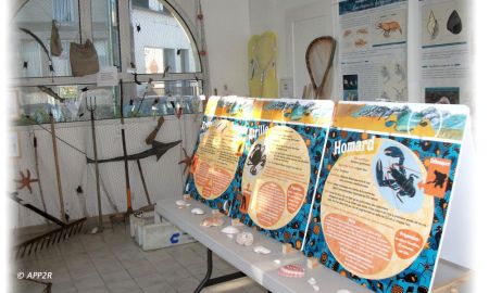 Petit Musée de la Pêche à Pied, Agon-Coutainville