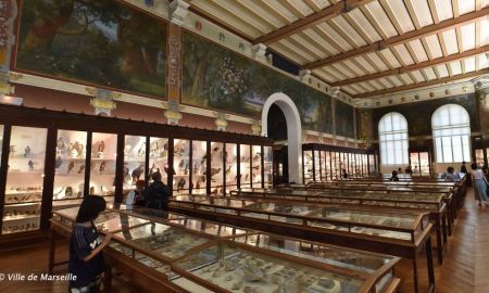 Muséum d'Histoire Naturelle, Marseille